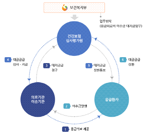 응급환자가 발생했을시 의료기관에서 응급의료를 제공하고 건강보험심사평가원에 대지급금을 청구하고, 이후에 응급환자로부터 건강보험 심사평가원이 대지급금을 상환받는 제도에 대한 이미지