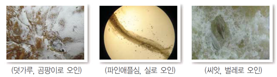 곰팡이로 오인하기 쉬운 덧가루, 실로 오인하기 쉬운 파인애플심, 벌레로 오인하기 쉬운 씨앗 등 이물로 오인하기 쉬운 식품성분들의 예
