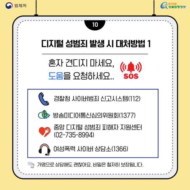 디지털 성범죄[11]