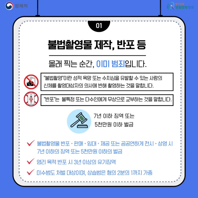 디지털 성범죄[2]