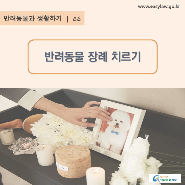 www.easylaw.go.kr, 찾기 쉬운 생활법령정보 로고, 반려동물과 생활하기 | 06, 반려동물 장례 치르기