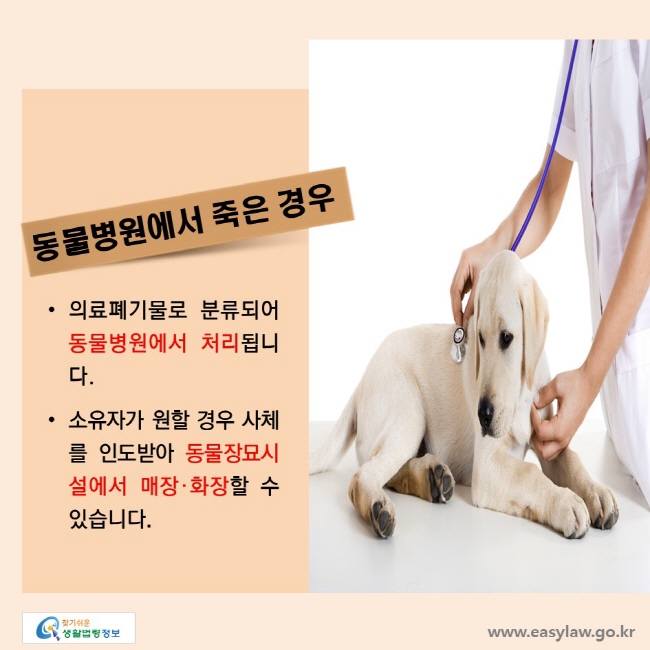 동물병원에서 죽은 경우, • 의료폐기물로 분류되어 동물병원에서 처리됩니다. • 소유자가 원할 경우 사체를 인도받아 동물장묘시설에서 매장·화장할 수 있습니다.