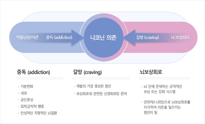 니코틴 의존에 의한 중독 등