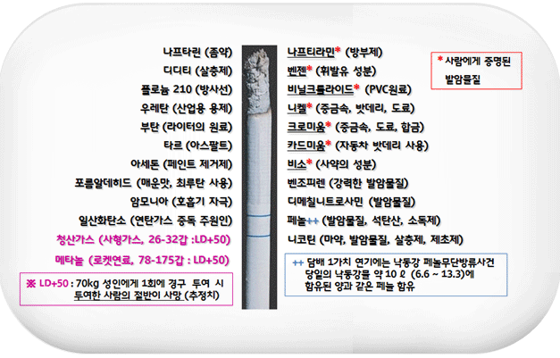 담배의 유해성분과 발암물질