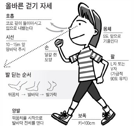 올바른 걷기 자세를 설명한 이미지입니다.