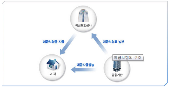 예금보험의 구조