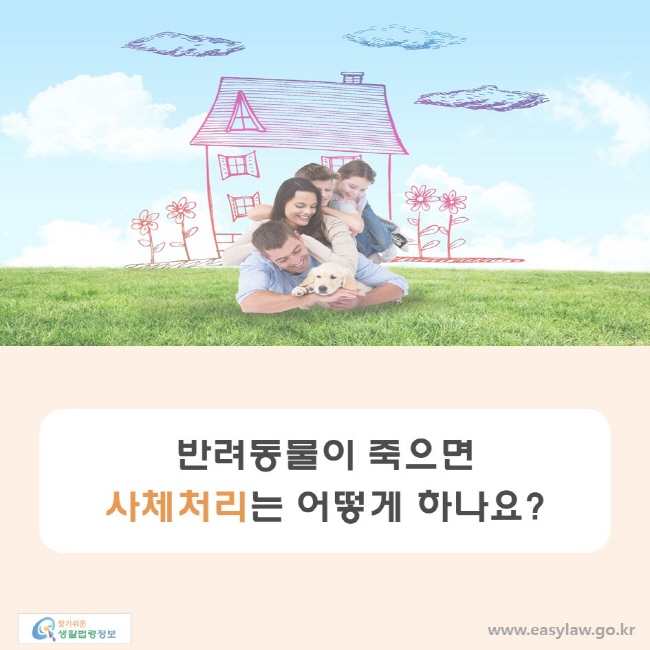 반려동물이 죽으면 사체처리는 어떻게 하나요?
