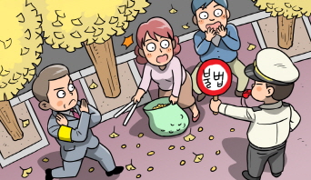 가로수길 은행나무를 따면 처벌을 받게 된다구요? 가로수길 은행나무를 따면 처벌을 받게 된다구요?