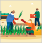 Foreign Seasonal Workers