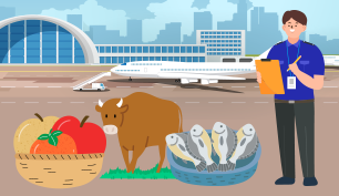 수출입 검역ㆍ검사