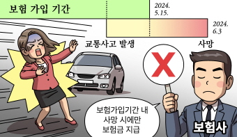 이번주 솔로몬의 선택