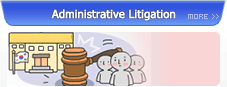 Administrative Litigation