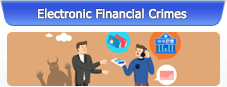 Electronic Financial Crimes