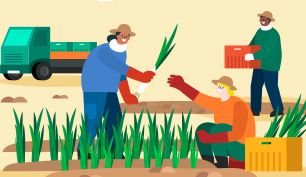Foreign Seasonal Workers