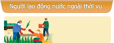 Người lao động nước ngoài thời vụ    