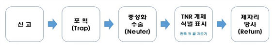 그림입니다.
원본 그림의 이름: 길고양이 중성화 절차(20181110)-1.jpg
원본 그림의 크기: 가로 971pixel, 세로 163pixel
사진 찍은 날짜: 2018년 11월 10일 오후 2:49