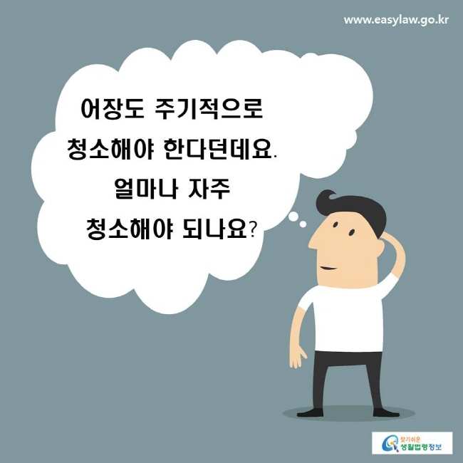 어장도 주기적으로 청소해야 한다던데요. 얼마나 자주 청소해야 되나요?