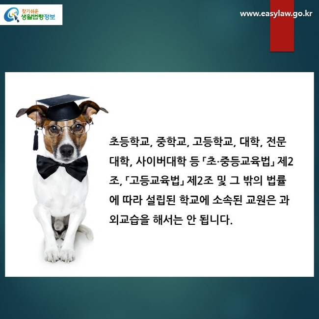 초등학교, 중학교, 고등학교, 대학, 전문대학, 사이버대학 등 「초∙중등교육법」 제2조, 「고등교육법」 제2조 및 그 밖의 법률에 따라 설립된 학교에 소속된 교원은 과외교습을 해서는 안 됩니다. 