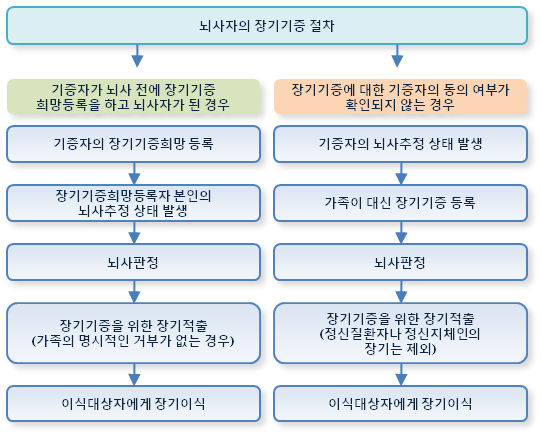 뇌사자의 장기기증 절차