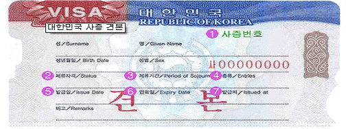 성명, 생년월일, 성별, 체류자격, 체류기간, 발급일, 완료일, 발급지 등이 기재되어 있는 대한민국 비자 견본사진