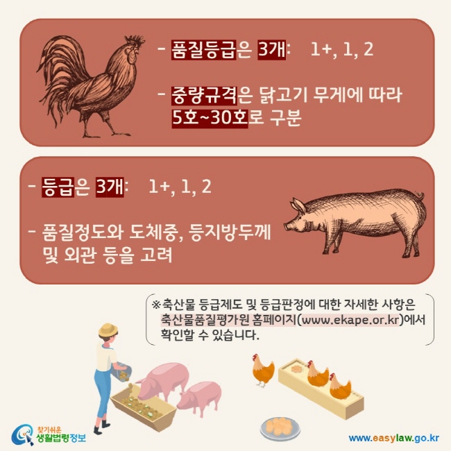 (닭) - 품질등급은 3개: 1+, 1, 2  - 중량규격은 닭고기 무게에 따라 5호~30호로 구분   (돼지) - 등급은 3개: 1+, 1, 2  - 품질정도와 도체중, 등지방두께 및 외관 등을 고려  ※축산물 등급제도 및 등급판정에 대한 자세한 사항은 축산물품질평가원 홈페이지(www.ekape.or.kr)에서 확인할 수 있습니다.