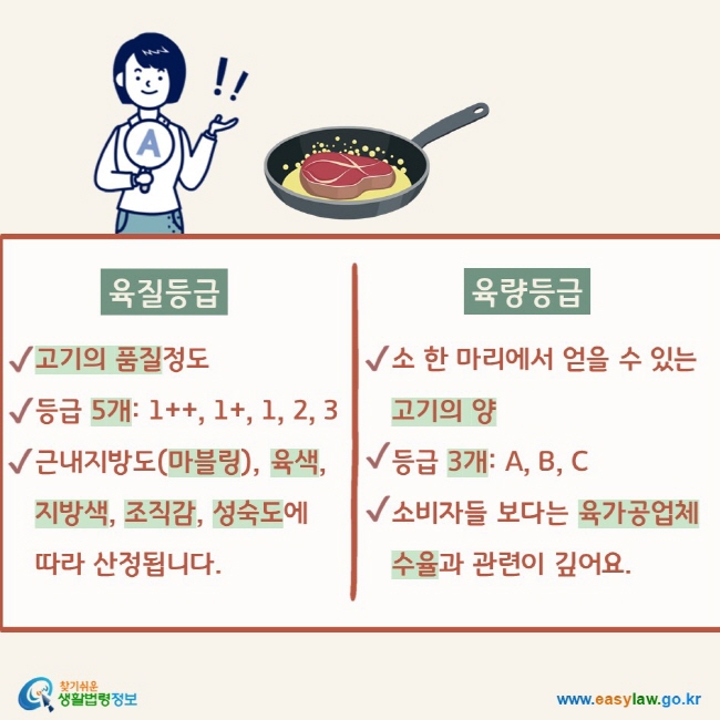 육질등급 고기의 품질정도     등급 5개: 1++, 1+, 1, 2, 3      근내지방도(마블링), 육색, 지방색, 조직감, 성숙도에 따라 산정됩니다.  육량등급 소 한 마리에서 얻을 수 있는 고기의 양 등급 3개: A, B, C  소비자들 보다는 육가공업체 수율과 관련이 깊어요. 