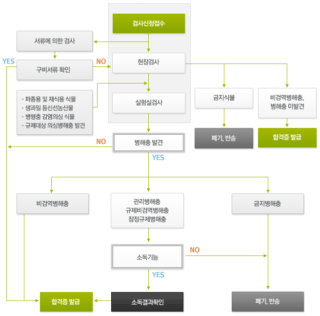 식물 수입검역 절차도(검사신청접수, 현장 및 실험실 검사, 병해충 발견 시 소독 후 결과 확인한 뒤 합격증 발급)