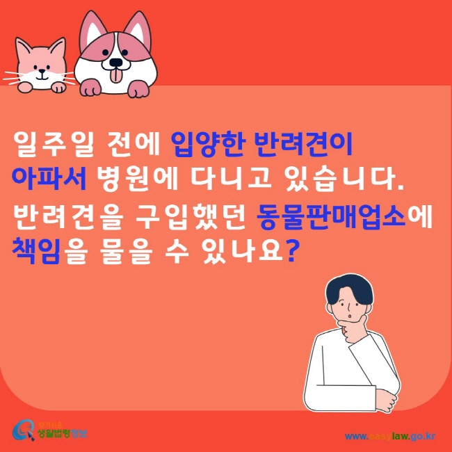 일주일 전에 입양한 반려견이 아파서 병원에 다니고 있습니다. 반려견을 구입했던 동물판매업소에  책임을 물을 수 있나요?
찾기쉬운생활법령정보 www.easylaw. go.kr