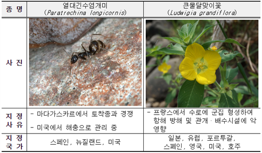 그림입니다.
원본 그림의 이름: 2번.png
원본 그림의 크기: 가로 651pixel, 세로 380pixel