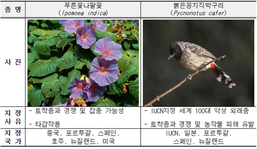 그림입니다.
원본 그림의 이름: 1번.png
원본 그림의 크기: 가로 646pixel, 세로 374pixel