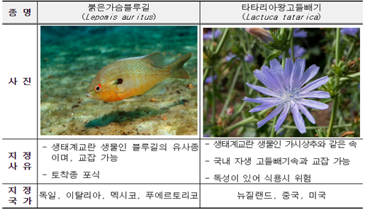 그림입니다.
원본 그림의 이름: 3번.png
원본 그림의 크기: 가로 651pixel, 세로 418pixel