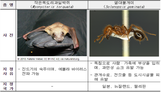 그림입니다.
원본 그림의 이름: 5번.png
원본 그림의 크기: 가로 647pixel, 세로 431pixel
