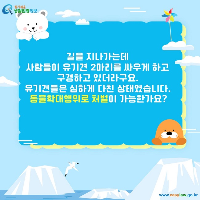 길을 지나가는데  사람들이 유기견 2마리를 싸우게 하고  구경하고 있더라구요.  유기견들은 심하게 다친 상태였습니다.  동물학대행위로 처벌이 가능한가요?