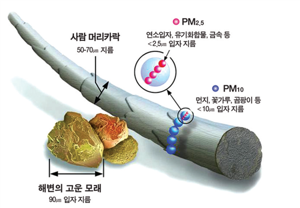 미세먼지 크기 비교 그림입니다. 사람 머리카락 지름: 50~70마이크로미터 초미세먼지(PM2.5): 연소입자, 유기화합물, 금속 등 2.5마이크로미터 미세먼지(PM10): 먼지, 꽃가루, 곰팡이 등 10마이크로미터 해변의 고운 모래: 90마이크로미터