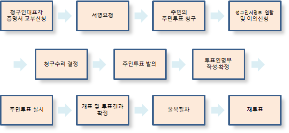 주민에 의한 주민투표 절차를 설명한 그림입니다.