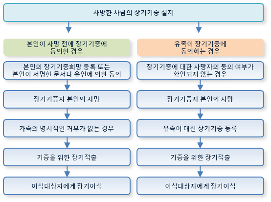 사망한 사람의 장기기증 절차