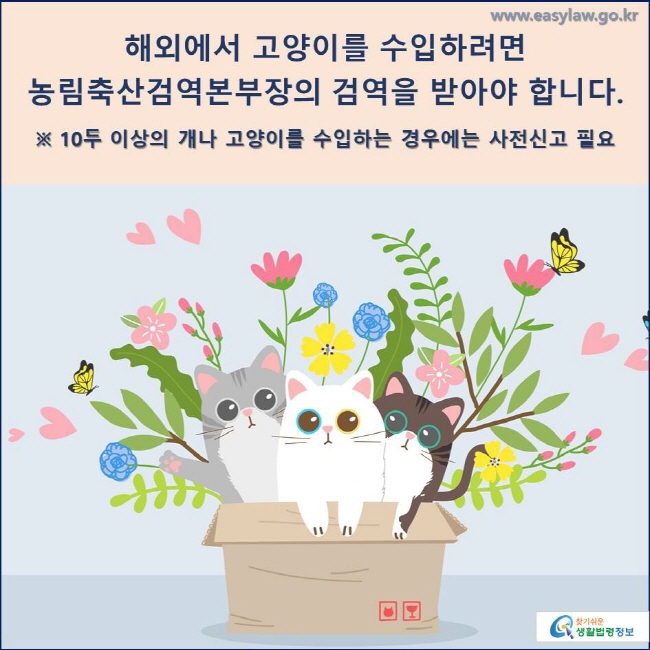 해외에서 고양이를 수입하려면 농림축산검역본부장의 검역을 받아야 합니다. 
※ 10두 이상의 개나 고양이를 수입하는 경우에는 사전신고 필요
