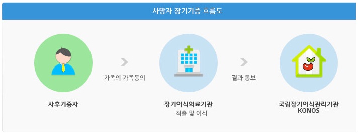 사망자 장기기증 흐름도