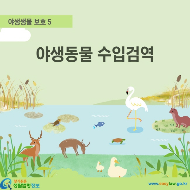 야생생물 보호 5 야생동물 수입검역