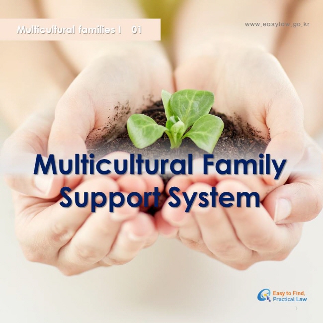 multicultural families