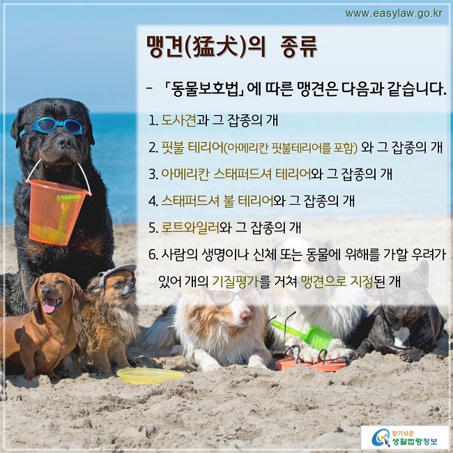맹견(猛犬)의 종류 「동물보호법」 에 따른 맹견은 다음과 같습니다.   1. 도사견과 그 잡종의 개  2. 핏불 테리어(아메리칸 핏불테리어를 포함)와 그 잡종의 개  3. 아메리칸 스태퍼드셔 테리어와 그 잡종의 개  4. 스태퍼드셔 불 테리어와 그 잡종의 개  5. 로트와일러와 그 잡종의 개  6. 사람의 생명이나 신체 또는 동물에 위해를 가할 우려가     있어 개의 기질평가를 거쳐 맹견으로 지정된 개