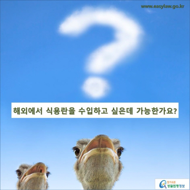 해외에서 식용란을 수입하고 싶은데 가능한가요?
