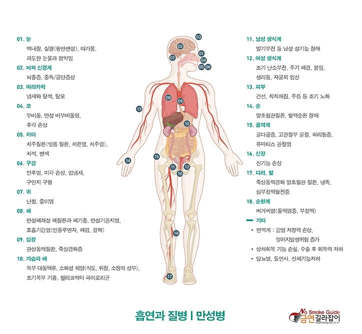 흡연과 질병, 흡연과 암