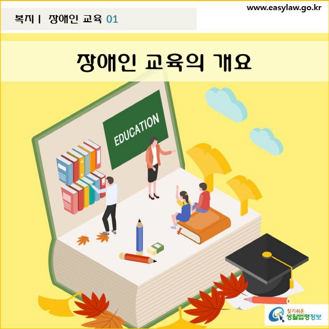 장애인 교육의 개요
