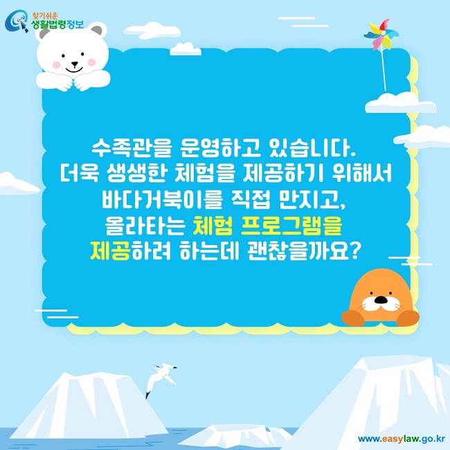 수족관을 운영하고 있습니다.  더욱 생생한 체험을 제공하기 위해서 바다거북이를 직접 만지고,  올라타는 체험 프로그램을  제공하려 하는데 괜찮을까요?