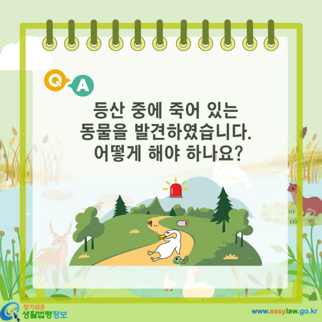 등산 중에 죽어 있는 동물을 발견하였습니다. 어떻게 해야 하나요?