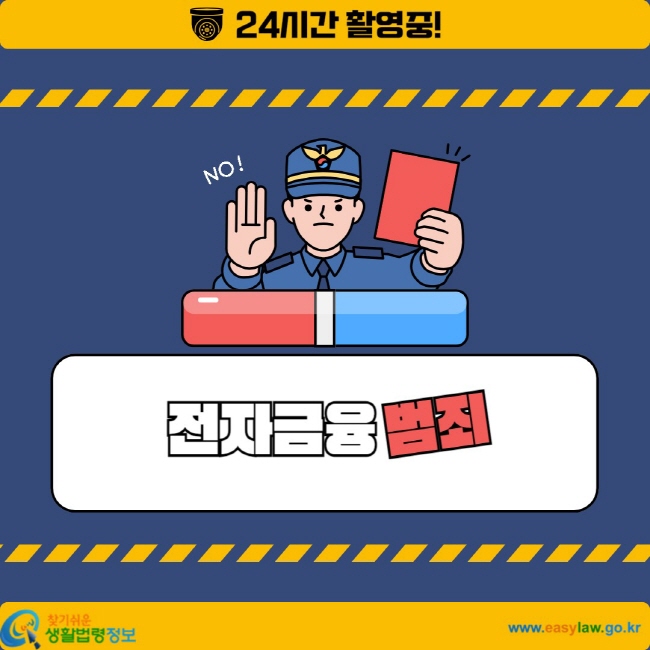 전자금융범죄