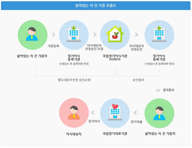 살아있는 자 간 장기기증 흐름도