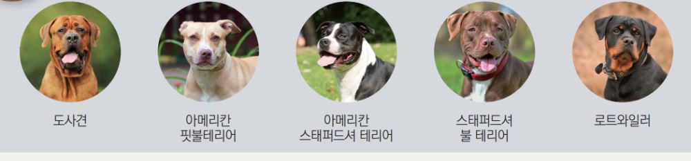 그림입니다.

원본 그림의 이름: CLP000009d8b2d7.bmp

원본 그림의 크기: 가로 1048pixel, 세로 245pixel