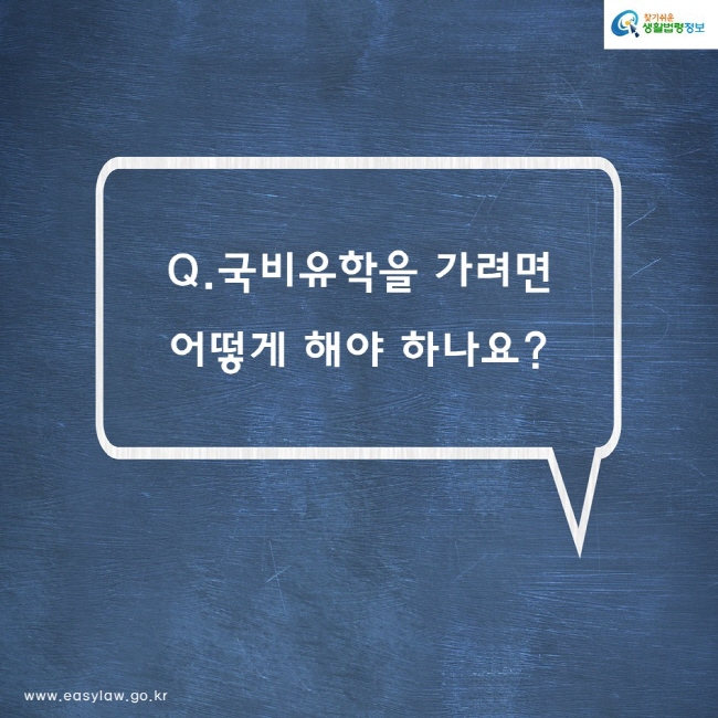 Q. 국비유학을 가려면 어떻게 해야 하나요?